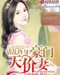 错乱终身:豪门天价妻