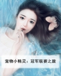 宠物小精灵:冠军联赛之旅