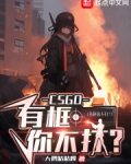 CSGO:有框你不打?