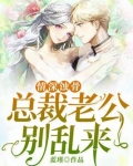 情深蚀骨：总裁老公别乱来