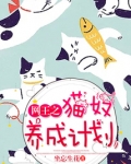 网王之猫奴养成计划
