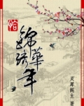 恰锦绣华年