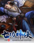 七功神侠