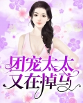 团宠太太又在掉马