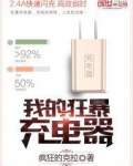 我的狂暴充电器