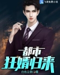 都市狂婿归来