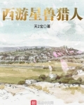 西游星兽猎人