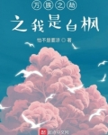 万族之劫之我是白枫