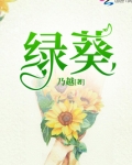 绿葵