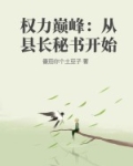 权力巅峰:从县长秘书开始