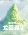 绝世唐门之龙震寰宇