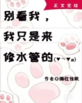 别看我,我只是来修水管的!