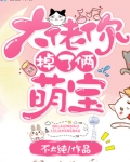 大佬你掉了俩萌宝