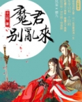 天才毒妃:魔君别乱来