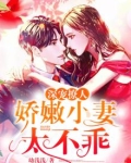 深宠撩人:娇嫩小妻太不乖