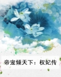 帝宠倾天下：权妃传