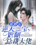 退婚后,三个幼崽把她拉进大佬怀里