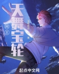 网王:天舞宝轮