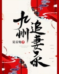 九州追妻录