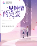一见钟情的宠爱