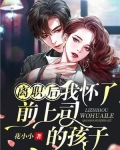 离职后我怀了前上司的孩子