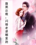 腹黑总裁：闪婚老婆哪里跑