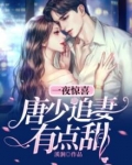 一夜惊喜:唐少追妻有点甜