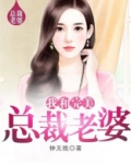 我和完美总裁老婆