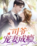 司爷宠妻成瘾