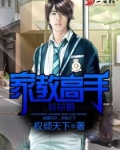 校花的家教高手
