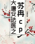 大唐女法医之苏冉cp
