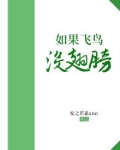 如果飞鸟没翅膀