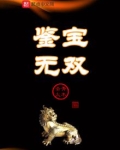 鉴宝无双