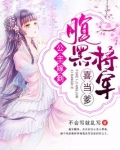公主嫁到:腹黑将军喜当爹