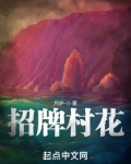 招牌村花