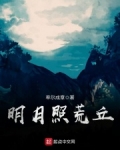 明月照荒丘