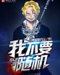 随机从海贼开始