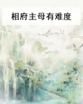 相府主母有难度