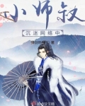 小师叔沉迷网络中