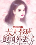 首席别虐了,夫人带球跑国外去了
