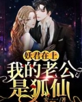 妖君在上:我的老公是狐仙