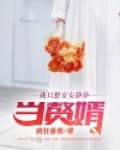 我只想安安静静当赘婿