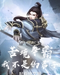 苦境争霸:我不是伪君子
