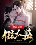 混在皇宫假太监
