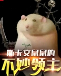 斯卡文鼠鼠的不妙领主