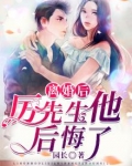 离婚后,厉先生他后悔了