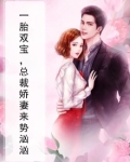 一胎双宝,总裁娇妻来势汹汹