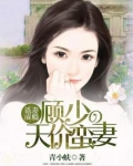 诱妻成瘾：顾少的天价蛮妻