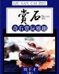 赏石：奇石赏玩雅趣