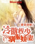 邪恶劫婚:冷傲权少驯服娇蛮妻